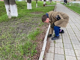 ����� �� ������� ���