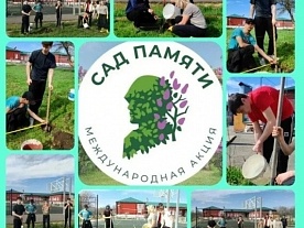 ��� ������